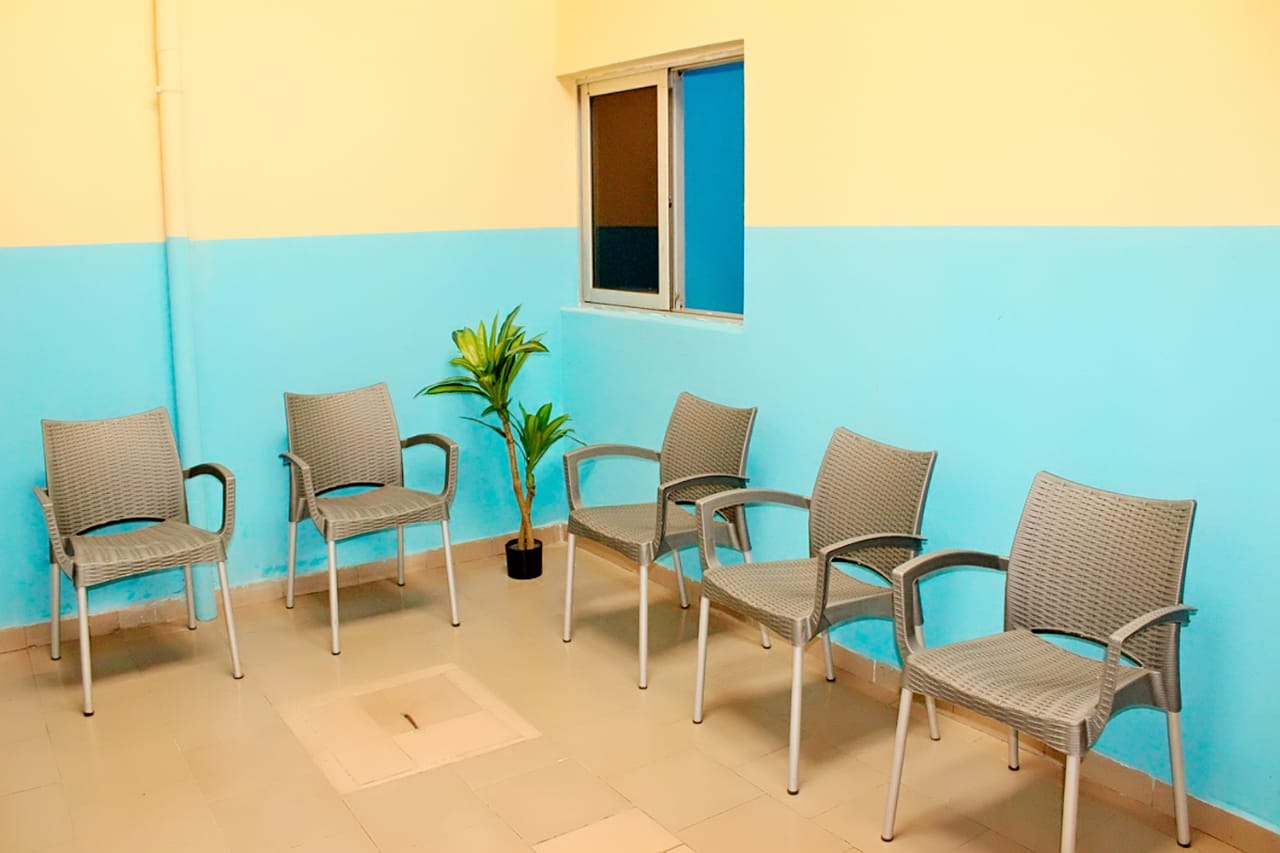 A room with chairs and potted plant in it.